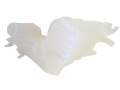 Vase d'Expansion Liquide de Refroidissement Renault Laguna III Latitude 217100014R 217100001R