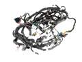 Dashboard Harness Wiring Loom Renault Austral 22- 282436260R 240134144R