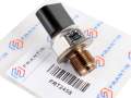 Kraftstoffdrucksensor Renault Clio II Grand Scenic II Kangoo I Megane Scenic II 1.5 DCI 55PP30-01 28389848 1710323955