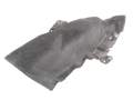 Exhaust Heat Shield Renault Austral Espace VI E-Tech Rafale 747511587R