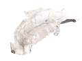 Exhaust Heat Shield Renault Austral Espace VI E-Tech Rafale 747511587R