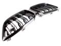 Front Bumper Grille Kidney Trim BMW M2 F87 13-21 8078000