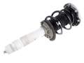 Right Front McPherson Strut Shock Absorber Spring BMW M2 F87 3.0 M2 Competition