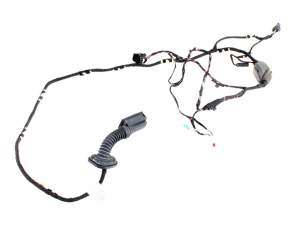 Kabelbaum Tür hinten links rechts BMW X3 G01 M F97 X4 G02 M F98 18- 61125A49005