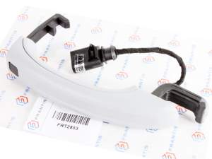 Poignée Extérieure de Porte Avant Gauche Droite Audi Q7 4L0837205A 4L0837205B 