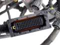 Kabelbaum Lampen Licht hinten Iveco S-Way 19-