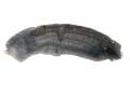NADKOLE PRAWE TYLNE RENAULT KADJAR 15-22r. 767484880R