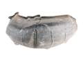 NADKOLE PRAWE TYLNE RENAULT KADJAR 15-22r. 767484880R