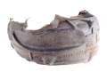 Radhausschale hinten links Toyota RAV4 V 18- 65638-42020