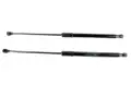 Bonnet Gas Spring Strut