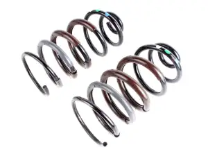 Rear Suspension Springs