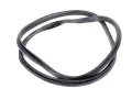 USZCZELKA DRZWI LEWYCH PRAWYCH TYLNYCH RENAULT CLIO IV 12-19r. 769234807R
