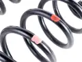 Rear Suspension Springs Toyota Rav4 V 18- 4823142580