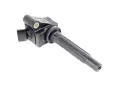 Bobine D'allumage Renault Austral Espace VI Rafale 1.2 E-TECH 224334632R