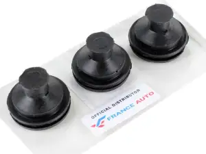 Moteur Capot Supérieur Clips Renault Clio II III Kangoo Modus Twingo Megane II 1.5 DCI 16557AY900 7701060158 7701056972 1329800QAC