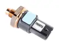 Capteur Pression de Carburant Dacia Duster II Nissan Qashqai X-Trial Renault Arkana Captur II Clio V Kadjar Kangoo III Megane Scenic IV Talisman 1.3 T TCE DIG-T A2829050600 166388856R