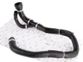 Coolant Water Hose Pipe Lower Land Rover Range Rover Evoque 2.0 LR024236