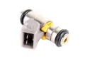 Einspritzdüse Dacia Duster Logan Sandero Renault Kangoo II 1.6 16V 8201036397 IWP127