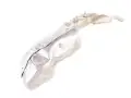 Hitzeschutzblech Turbolader C4 II C5 III Expert IV 2.0 BlueHDI 9846205080