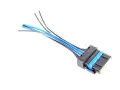 Stecker Kabelbaum Kraftstoffpumpe Citroen Berlingo IV C3 III C3 Picasso C4 III C4 Cactus C5 III Peugeot 2008 208 301 508 Partner IV Rifter 1.0 1.2 1.4 1.6 2.0 2.2 2.7 3.0 HDI E-HDI Blue HDI 16V THP