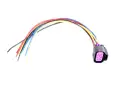 Stecker für Rücklampe Citroen Jumper II Fiat Ducato II Peugeot Boxer II