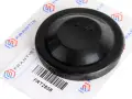 Blende Für Scheinwerfer Citroen C4 Picasso Renault Clio II 7701051775