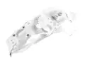 Hitzeschutzblech Oben Mini F74 F66 F67 1.5 2.0 11655B3A042