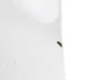 Moulure De Pare-Chocs Avant Gauche Iveco Stralis S-Way 5802302779