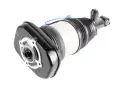 AMORTYZATOR PNEUMATYCZNY VDC PRAWY TYLNY BMW I4 G26 GRAN COUPE 21- r. M50 765A49DD403