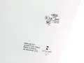 SZYBA DRZWI LEWA PRZEDNIA AUDI A5 II 8W F5 17-24 r. COUPE 8W6845201