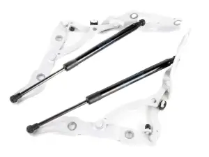Charnière Vérin de Hayon Arrière Gauche Droit BMW 2 F22 F23 M2 F87 13-21 C33 7304557 7304558