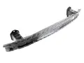 Rear Bumper Absorber