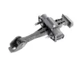 Türfeststeller Türfangband Türstopper hinten links rechts Dacia Duster II  17-24 804300992R