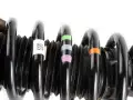 McPherson Strut Shock Spring Front Left Land Range Rover Velar L560 J8A218B036CB