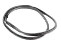 Front Left Right Door Seal Bmw 3 G20 G21 M3 G80 G81 7407373